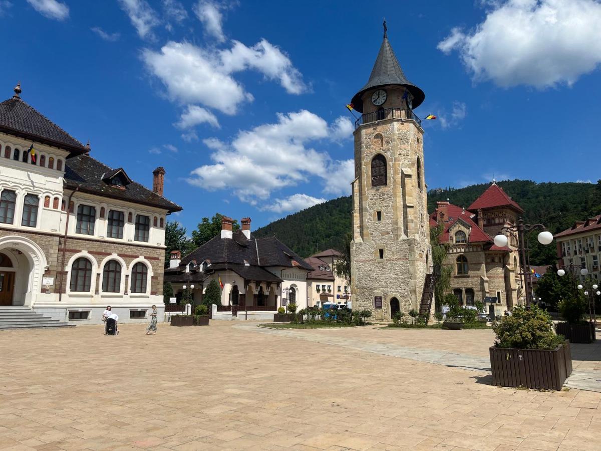 Cazare David Si Familia . Piatra Neamţ エクステリア 写真